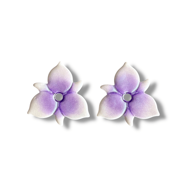 Pampilles Orchidée