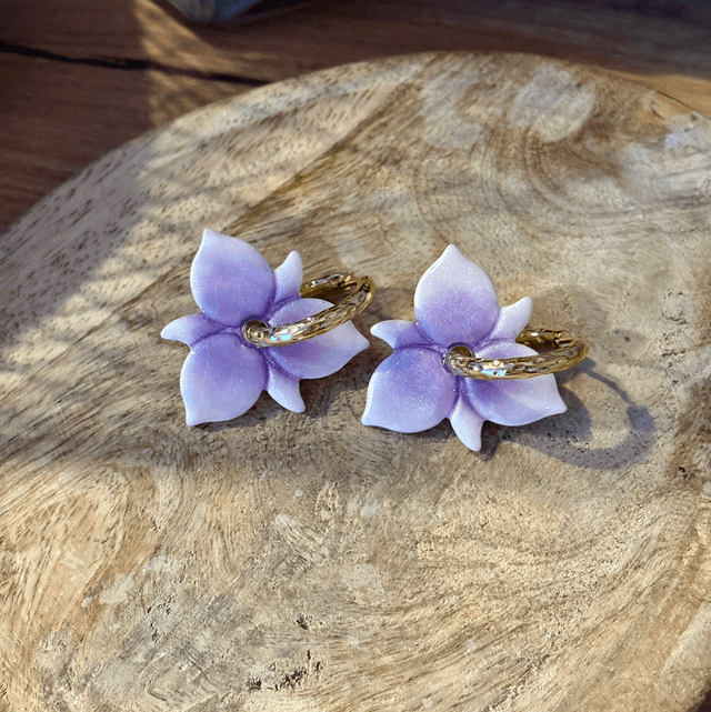 Pampilles Orchidée