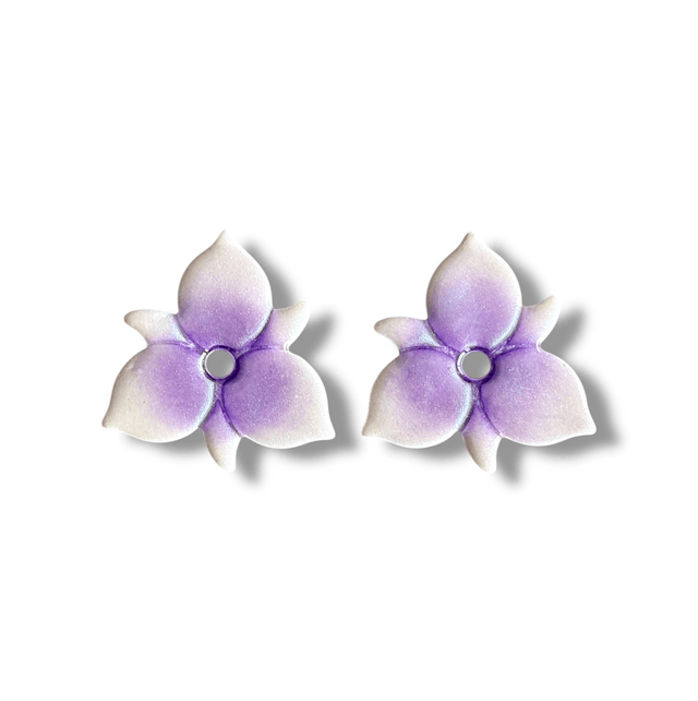 Pampilles Orchidée