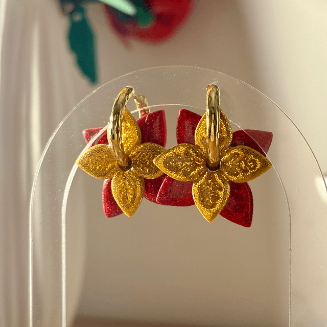 Grands poinsettias « Twinkle »