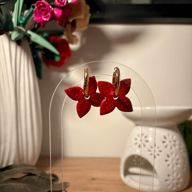 Grands poinsettias « Twinkle »
